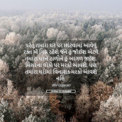 Picture 05 - નિર્ગમન 12:13 GUJIRV - પરંતુ તમારા ઘર પર - Bible Verse Picture