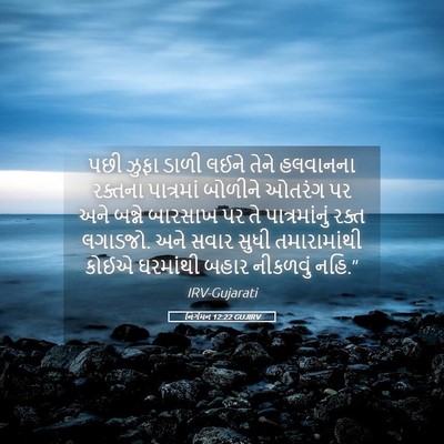 Picture 05 - નિર્ગમન 12:22 GUJIRV - પછી ઝુફા ડાળી લઈને - Bible Verse Picture