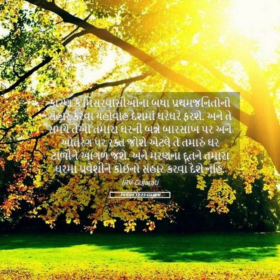 Picture 05 - નિર્ગમન 12:23 GUJIRV - કારણ કે - Bible Verse Picture