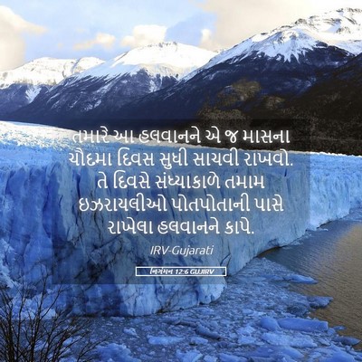 Picture 05 - નિર્ગમન 12:6 GUJIRV - તમારે આ હલવાનને એ જ - Bible Verse Picture