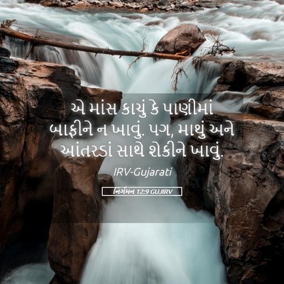 Picture 05 - નિર્ગમન 12:9 GUJIRV - એ માંસ કાચું કે - Bible Verse Picture