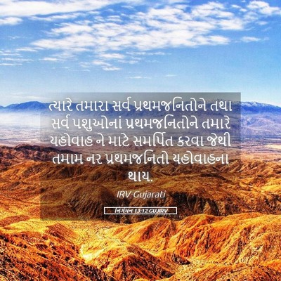 Picture 05 - નિર્ગમન 13:12 GUJIRV - ત્યારે તમારા સર્વ - Bible Verse Picture