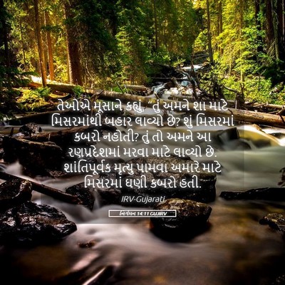 Picture 05 - નિર્ગમન 14:11 GUJIRV - તેઓએ મૂસાને - Bible Verse Picture