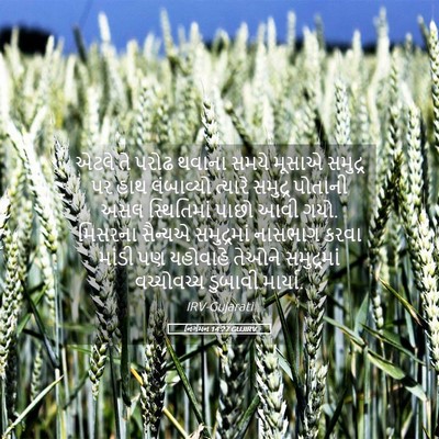 Picture 05 - નિર્ગમન 14:27 GUJIRV - એટલે તે પરોઢ થવાના - Bible Verse Picture