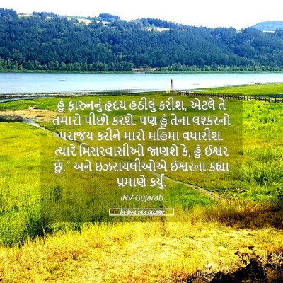 Picture 05 - નિર્ગમન 14:4 GUJIRV - હું ફારુનનું હૃદય - Bible Verse Picture