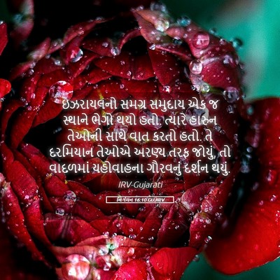 Picture 05 - નિર્ગમન 16:10 GUJIRV - ઇઝરાયલનો સમગ્ર - Bible Verse Picture