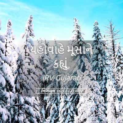 Picture 05 - નિર્ગમન 16:11 GUJIRV - યહોવાહે મૂસાને - Bible Verse Picture
