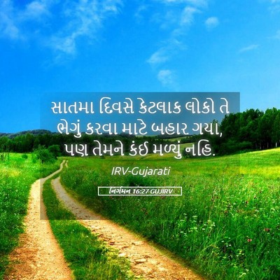 Picture 05 - નિર્ગમન 16:27 GUJIRV - સાતમા દિવસે - Bible Verse Picture