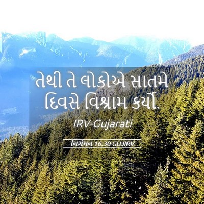 Picture 05 - નિર્ગમન 16:30 GUJIRV - તેથી તે લોકોએ - Bible Verse Picture