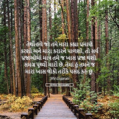 Picture 05 - નિર્ગમન 19:5 GUJIRV - તેથી હવે જો તમે - Bible Verse Picture