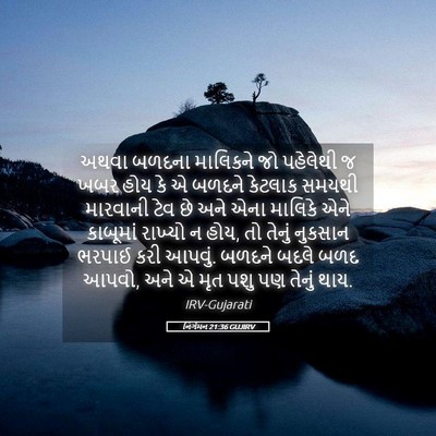 Picture 05 - નિર્ગમન 21:36 GUJIRV - અથવા બળદના - Bible Verse Picture