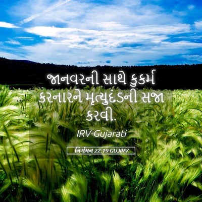Picture 05 - નિર્ગમન 22:19 GUJIRV - જાનવરની સાથે - Bible Verse Picture