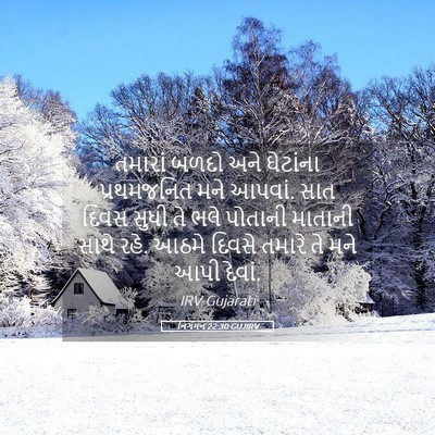 Picture 05 - નિર્ગમન 22:30 GUJIRV - તમારાં બળદો અને - Bible Verse Picture