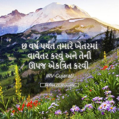 Picture 05 - નિર્ગમન 23:10 GUJIRV - છ વર્ષ પર્યંત - Bible Verse Picture