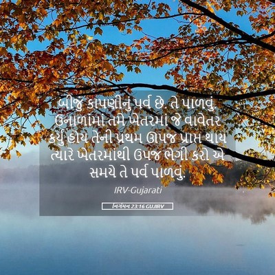 Picture 05 - નિર્ગમન 23:16 GUJIRV - બીજું કાપણીનું - Bible Verse Picture