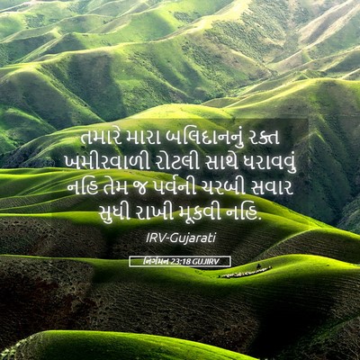 Picture 05 - નિર્ગમન 23:18 GUJIRV - તમારે મારા - Bible Verse Picture