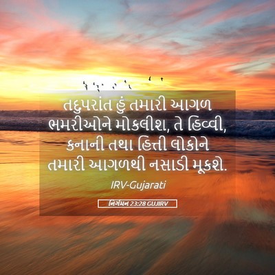Picture 05 - નિર્ગમન 23:28 GUJIRV - તદુપરાંત હું - Bible Verse Picture