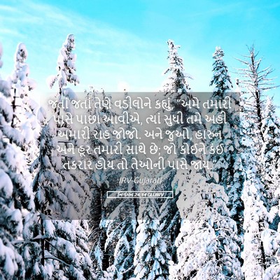 Picture 05 - નિર્ગમન 24:14 GUJIRV - જતાં જતાં તેણે - Bible Verse Picture