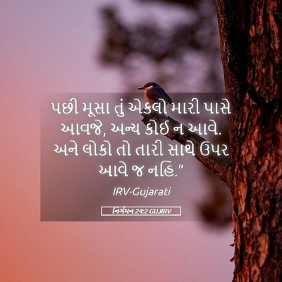Picture 05 - નિર્ગમન 24:2 GUJIRV - પછી મૂસા તું એકલો - Bible Verse Picture