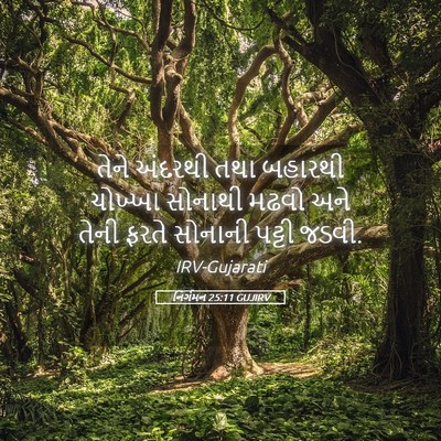 Picture 05 - નિર્ગમન 25:11 GUJIRV - તેને અંદરથી તથા - Bible Verse Picture