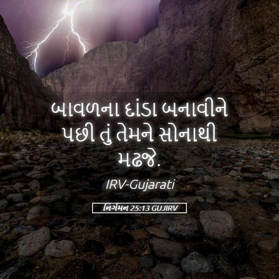 Picture 05 - નિર્ગમન 25:13 GUJIRV - બાવળના દાંડા - Bible Verse Picture