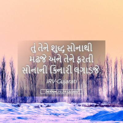 Picture 05 - નિર્ગમન 25:24 GUJIRV - તું તેને શુદ્ધ - Bible Verse Picture