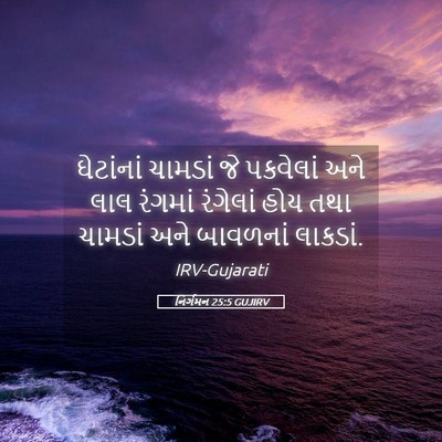 Picture 05 - નિર્ગમન 25:5 GUJIRV - ઘેટાંનાં ચામડાં - Bible Verse Picture