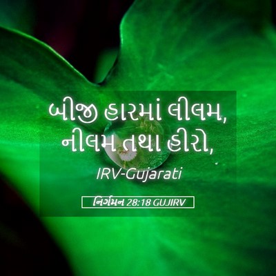Picture 05 - નિર્ગમન 28:18 GUJIRV - બીજી હારમાં લીલમ, - Bible Verse Picture