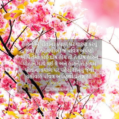 Picture 05 - નિર્ગમન 28:38 GUJIRV - હારુને એ પોતાના - Bible Verse Picture