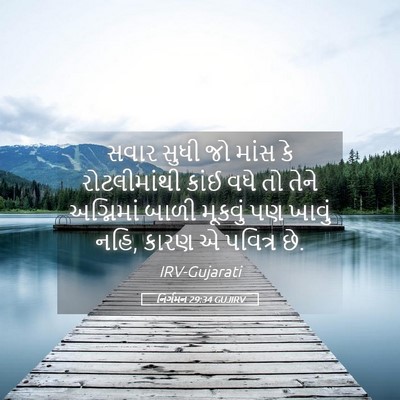 Picture 05 - નિર્ગમન 29:34 GUJIRV - સવાર સુધી જો માંસ - Bible Verse Picture