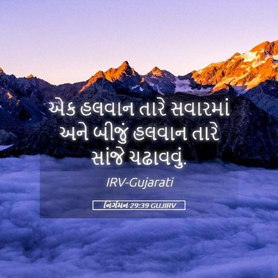 Picture 05 - નિર્ગમન 29:39 GUJIRV - એક હલવાન તારે - Bible Verse Picture
