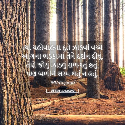 Picture 05 - નિર્ગમન 3:2 GUJIRV - ત્યાં યહોવાહના - Bible Verse Picture