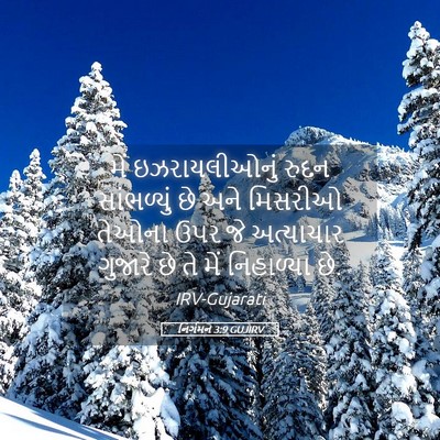 Picture 05 - નિર્ગમન 3:9 GUJIRV - મેં ઇઝરાયલીઓનું - Bible Verse Picture