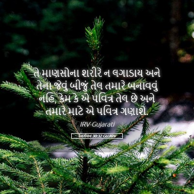 Picture 05 - નિર્ગમન 30:32 GUJIRV - તે માણસોના શરીરે ન - Bible Verse Picture