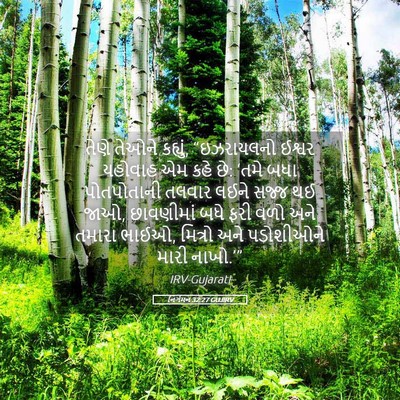 Picture 05 - નિર્ગમન 32:27 GUJIRV - તેણે તેઓને કહ્યું, - Bible Verse Picture