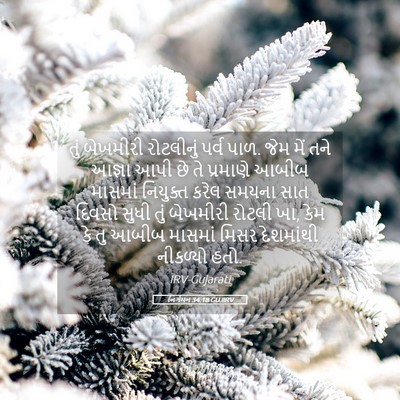 Picture 05 - નિર્ગમન 34:18 GUJIRV - તું બેખમીરી - Bible Verse Picture