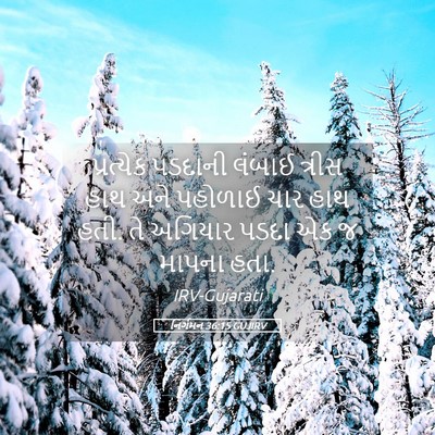 Picture 05 - નિર્ગમન 36:15 GUJIRV - પ્રત્યેક પડદાની - Bible Verse Picture