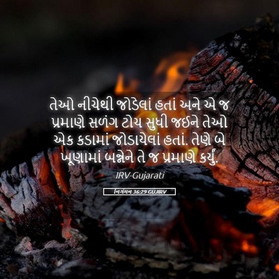 Picture 05 - નિર્ગમન 36:29 GUJIRV - તેઓ નીચેથી - Bible Verse Picture