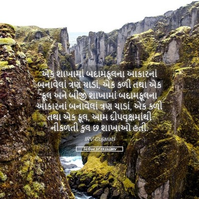 Picture 05 - નિર્ગમન 37:19 GUJIRV - એક શાખામાં - Bible Verse Picture