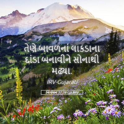 Picture 05 - નિર્ગમન 37:28 GUJIRV - તેણે બાવળનાં - Bible Verse Picture