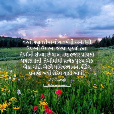 Picture 05 - નિર્ગમન 38:26 GUJIRV - વસ્તીગણતરીમાં વીસ - Bible Verse Picture