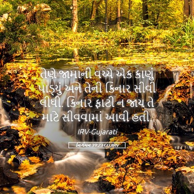 Picture 05 - નિર્ગમન 39:23 GUJIRV - તેણે જામાની વચ્ચે - Bible Verse Picture