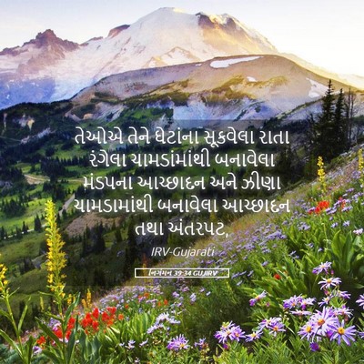 Picture 05 - નિર્ગમન 39:34 GUJIRV - તેઓએ તેને ઘેટાંના - Bible Verse Picture