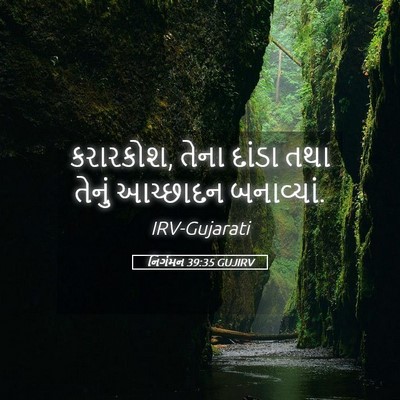 Picture 05 - નિર્ગમન 39:35 GUJIRV - કરારકોશ, તેના - Bible Verse Picture