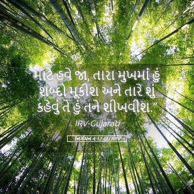 Picture 05 - નિર્ગમન 4:12 GUJIRV - માટે હવે જા, તારા - Bible Verse Picture