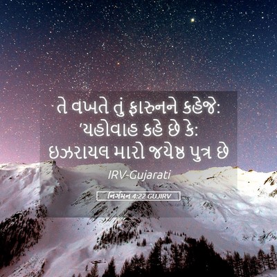 Picture 05 - નિર્ગમન 4:22 GUJIRV - તે વખતે તું - Bible Verse Picture