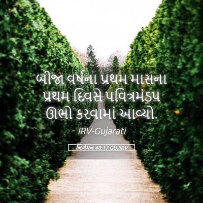 Picture 05 - નિર્ગમન 40:17 GUJIRV - બીજા વર્ષના પ્રથમ - Bible Verse Picture