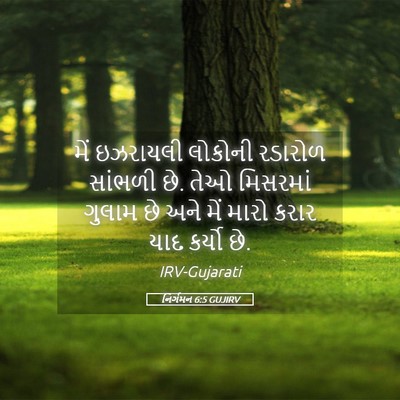 Picture 05 - નિર્ગમન 6:5 GUJIRV - મેં ઇઝરાયલી - Bible Verse Picture