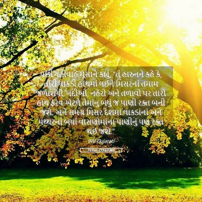 Picture 05 - નિર્ગમન 7:19 GUJIRV - પછી યહોવાહે - Bible Verse Picture