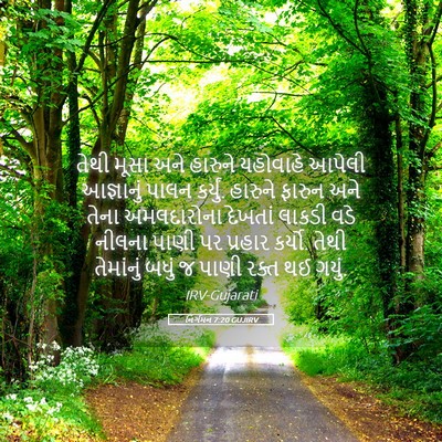 Picture 05 - નિર્ગમન 7:20 GUJIRV - તેથી મૂસા અને - Bible Verse Picture